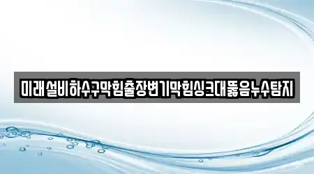 미래설비하수구막힘출장변기막힘싱크대뚫음누수탐지