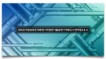 염창동 변기뚫음 지금 연락 3곳