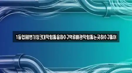 1등업체변기싱크대막힘뚫음하수구역류배관막힘뚫는곳하수구뚫어