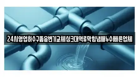 24시영업하수구뚫음변기교체싱크대역류막힘냄새누수빠른업체