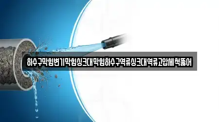 충북 제천시 왕암동 하수구 역류 방문 많은 5곳