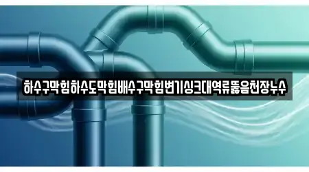 하수구막힘하수도막힘배수구막힘변기싱크대역류뚫음천장누수