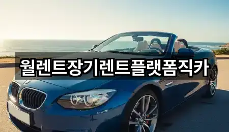 월렌트장기렌트플랫폼직카