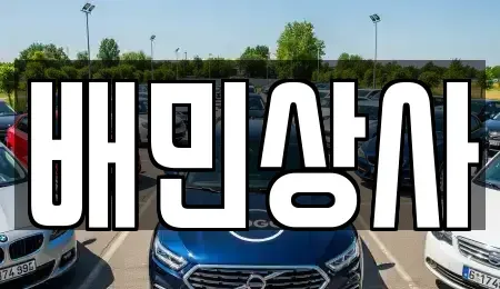 강원 삼척시 건지동 중고차 전문 배민상사