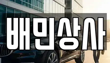 강원 삼척시 사직동 중고차 전문 배민상사
