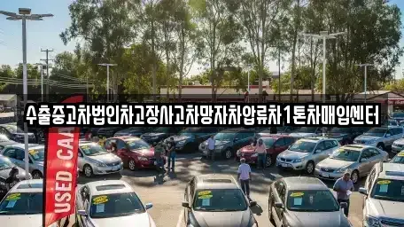강원 삼척시 사직동 중고차 전문 수출중고차법인차고장사고차망자차압류차1톤차매입센터