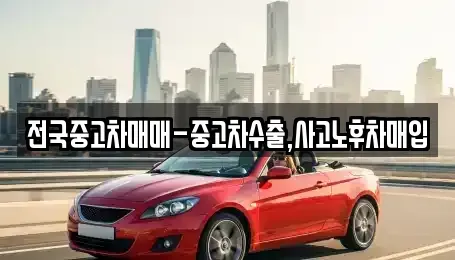 강원 삼척시 사직동 중고차매매 전문 전국중고차매매-중고차수출,사고노후차매입