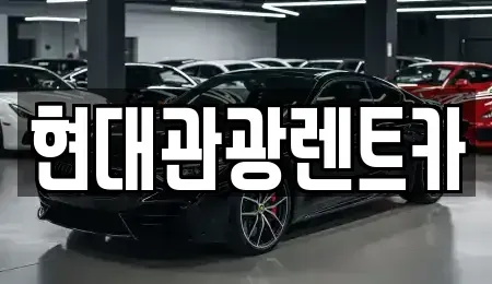 강원 속초시 금호동 렌트카 전문 현대관광렌트카