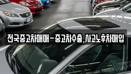 강원 속초시 금호동 중고차 전문 전국중고차매매-중고차수출,사고노후차매입