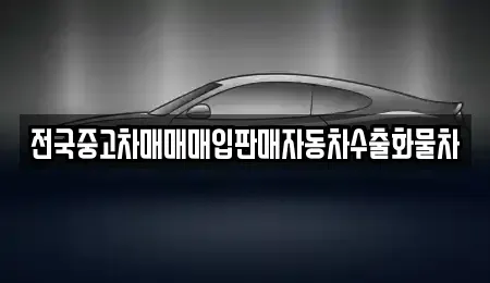 강원 속초시 금호동 중고차 전문 전국중고차매매매입판매자동차수출화물차