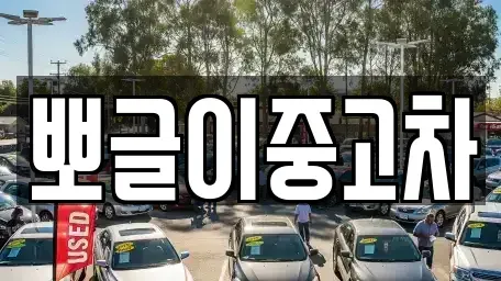 강원 속초시 금호동 중고차매매 전문 뽀글이중고차