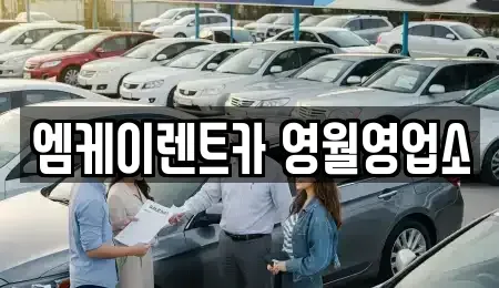 강원 영월군 영월읍 렌트카 전문 엠케이렌트카 영월영업소