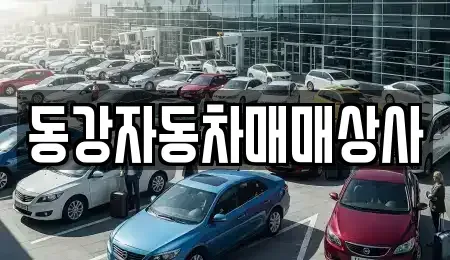 강원 영월군 영월읍 중고차매매 전문 동강자동차매매상사