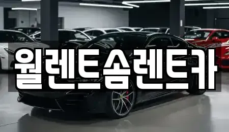 강원 원주시 가현동 렌트카 전문 월렌트솜렌트카