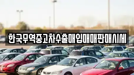 강원 원주시 관설동 중고차매입 전문 한국무역중고차수출매입매매판매시세