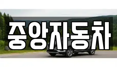 강원 춘천시 신동 중고차 전문 중앙자동차