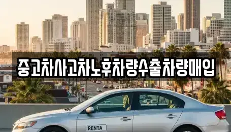 강원 춘천시 신동 중고차매입 전문 중고차사고차노후차량수출차량매입