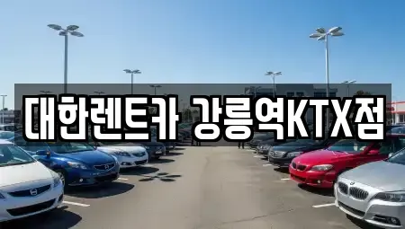 강원특별자치도 강릉시 렌트카 전문 대한렌트카 강릉역KTX점