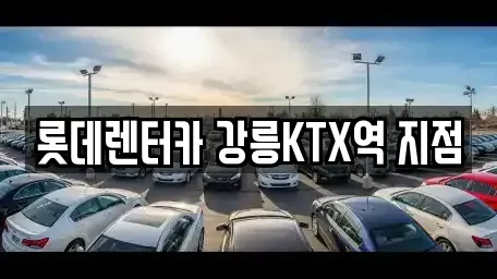 강원특별자치도 강릉시 렌트카 전문 롯데렌터카 강릉KTX역 지점