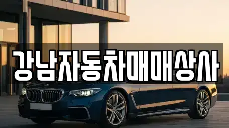 강원특별자치도 강릉시 성남동 중고차매매 전문 강남자동차매매상사