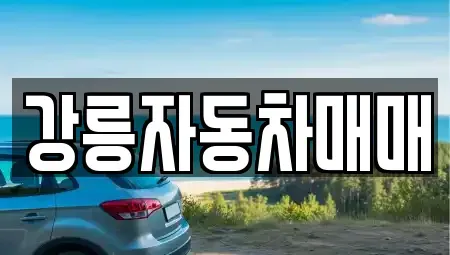 강원특별자치도 강릉시 성남동 중고차매매 전문 강릉자동차매매