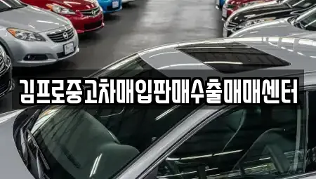 강원특별자치도 강릉시 성남동 중고차매입 전문 김프로중고차매입판매수출매매센터