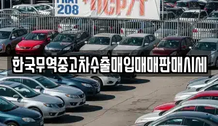 강원특별자치도 강릉시 성남동 중고차매입 전문 한국무역중고차수출매입매매판매시세