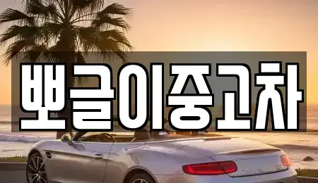 강원특별자치도 강릉시 옥계면 중고차매매 전문 뽀글이중고차