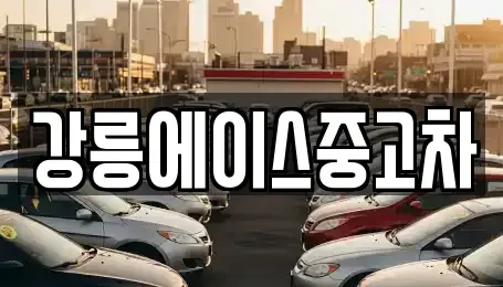 강원특별자치도 강릉시 중고차 전문 강릉에이스중고차