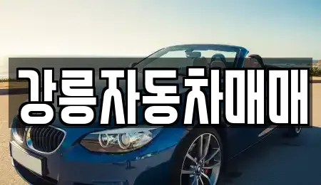 강원특별자치도 강릉시 중고차매매 전문 강릉자동차매매