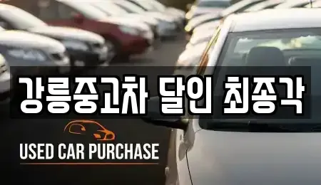 강원특별자치도 강릉시 중고차매매 전문 강릉중고차 달인 최종각