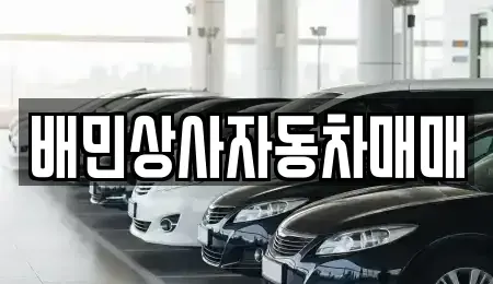 강원특별자치도 강릉시 중고차매매 전문 배민상사자동차매매
