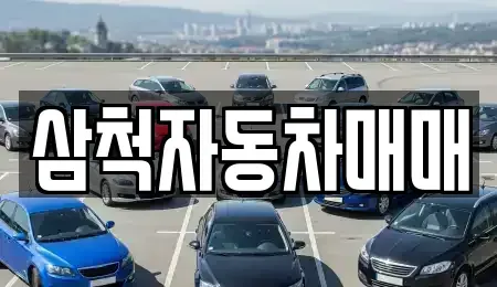 강원특별자치도 삼척시 도경동 중고차 전문 삼척자동차매매