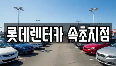 강원특별자치도 속초시 노학동 렌트카,단기렌트카,장기렌트카,중고차,중고차매매,중고차매입