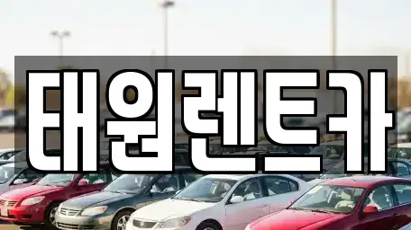 강원특별자치도 속초시 노학동 렌트카 전문 태원렌트카
