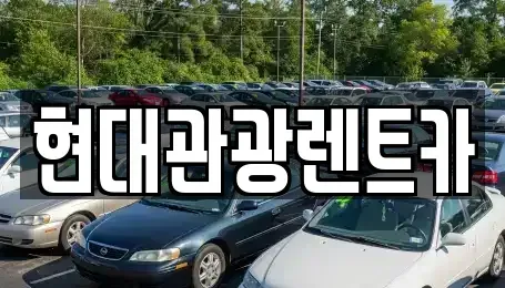 강원특별자치도 속초시 노학동 렌트카 전문 현대관광렌트카