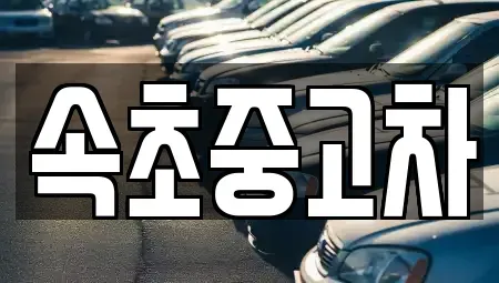 강원특별자치도 속초시 노학동 중고차 전문 속초중고차