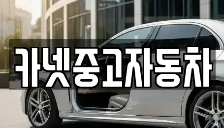 강원특별자치도 속초시 노학동 중고차 전문 카넷중고자동차