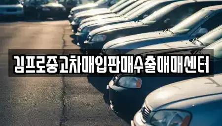 강원특별자치도 속초시 노학동 중고차매입 전문 김프로중고차매입판매수출매매센터