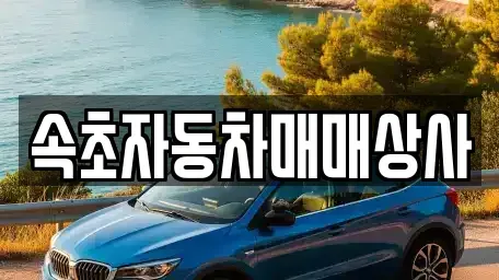 강원특별자치도 속초시 청호동 중고차매매 전문 속초자동차매매상사