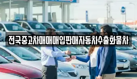 강원특별자치도 속초시 청호동 중고차매입 전문 전국중고차매매매입판매자동차수출화물차
