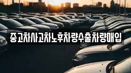 강원특별자치도 속초시 청호동 중고차매입 전문 중고차사고차노후차량수출차량매입