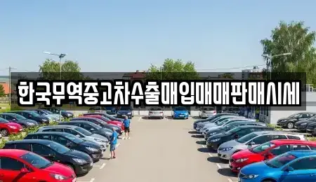 강원특별자치도 속초시 청호동 중고차매입 전문 한국무역중고차수출매입매매판매시세