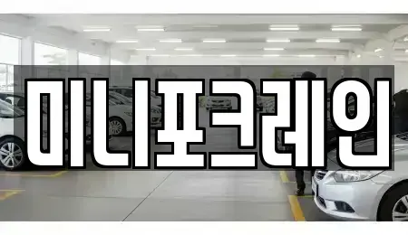 강원특별자치도 양양군 강현면 중고차 전문 미니포크레인