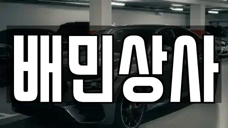 강원특별자치도 양양군 강현면 중고차 전문 배민상사