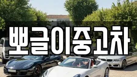 강원특별자치도 양양군 강현면 중고차 전문 뽀글이중고차
