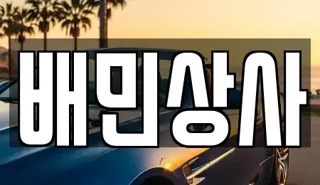 강원특별자치도 양양군 강현면 중고차매매 전문 배민상사