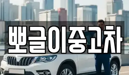 강원특별자치도 양양군 강현면 중고차매매 전문 뽀글이중고차