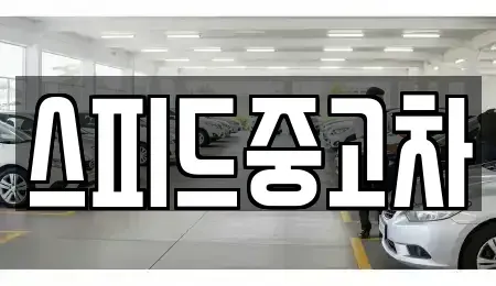 강원특별자치도 양양군 강현면 중고차매매,단기렌트카,중고차매입,장기렌트카,중고차,렌트카