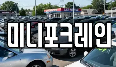강원특별자치도 양양군 강현면 중고차매입 전문 미니포크레인